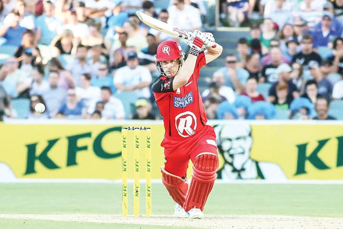 Daniel Harris: A dual career in cricket and medicine post image