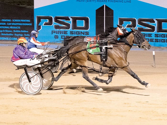 YP Harness Racing Club post image