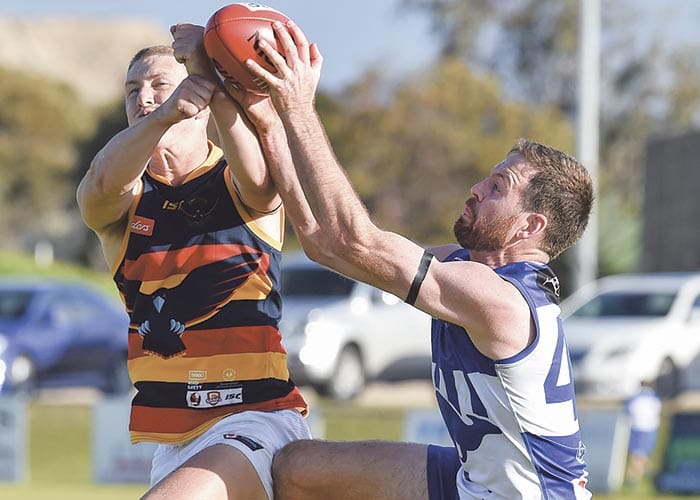 Crows fly high into second half post image