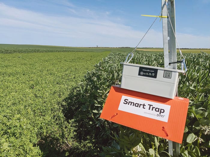 Counting bugs in SYP crops post image