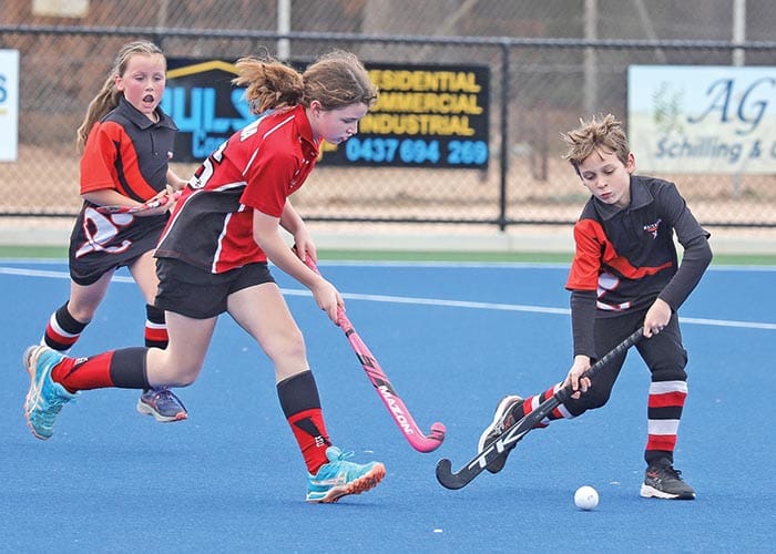 YP hockey scores and reports post image