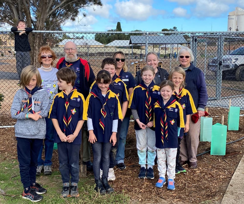 Copper Coast native bees BnBs project completed post image