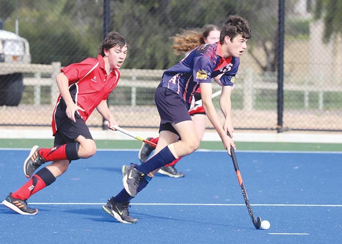 YPHA scores and reports post image