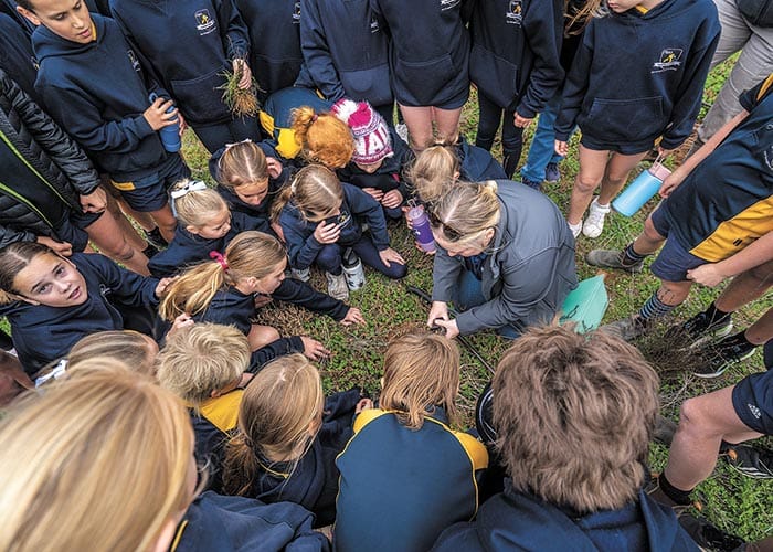 Planting seeds of success post image