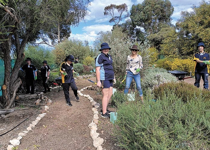 Australian plants bloom post image