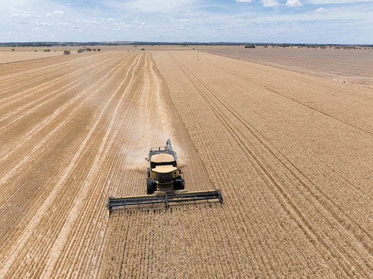 Prime location in continuous crop country post image