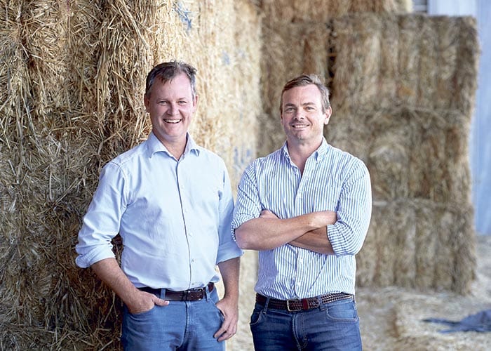 AgTrade acquires former SP Hay site post image