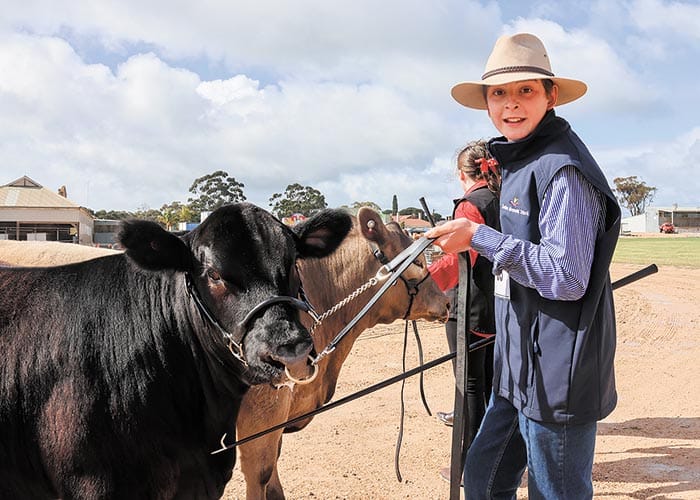 Schools compete at Copper Coast Show post image