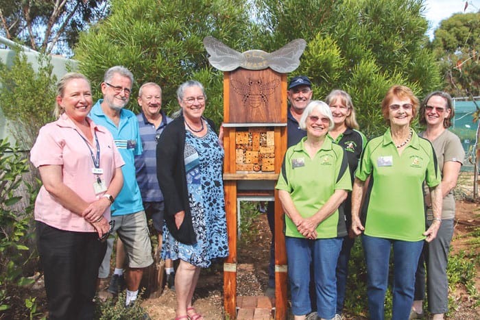 Bees’ B ‘n’ Bs post image