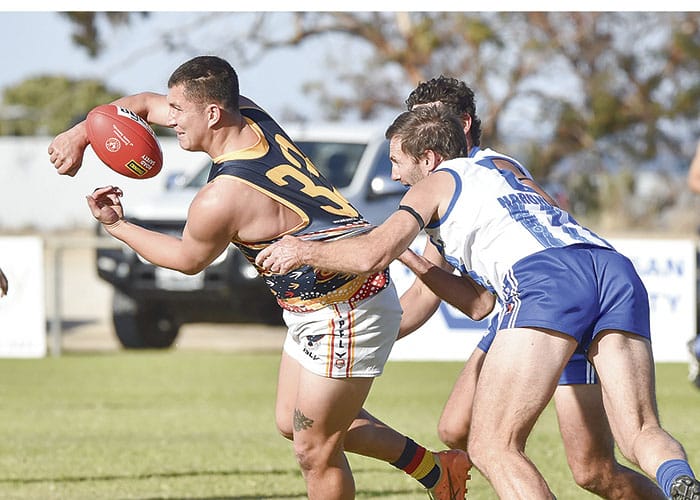 YPFL: Crows outmuscle Kangaroos in tough Ardrossan conditions post image