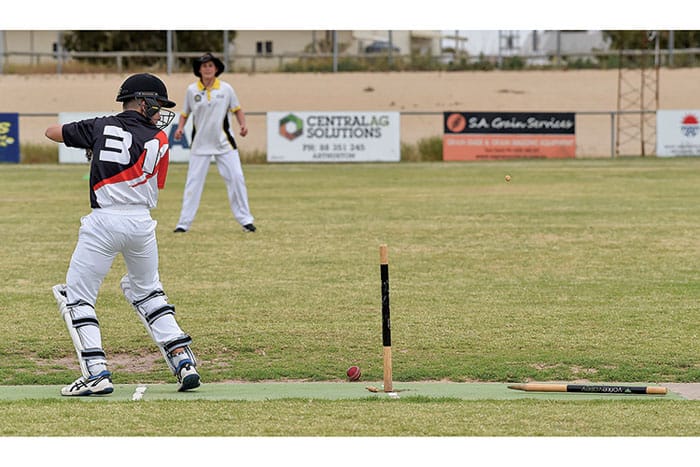 Cricket: LYPCA and YPCA scores post image