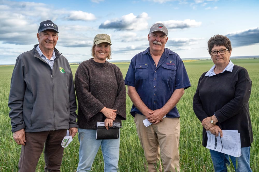 New funding model, agreements deliver $3M-plus for grain research projects post image