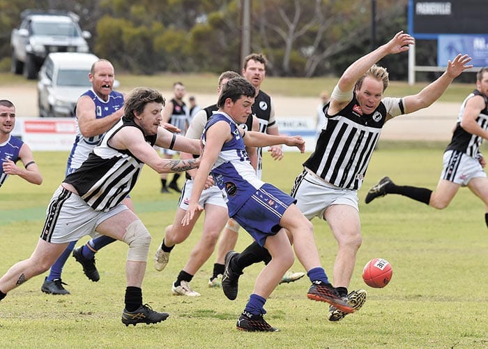 Roos too strong for Pies post image