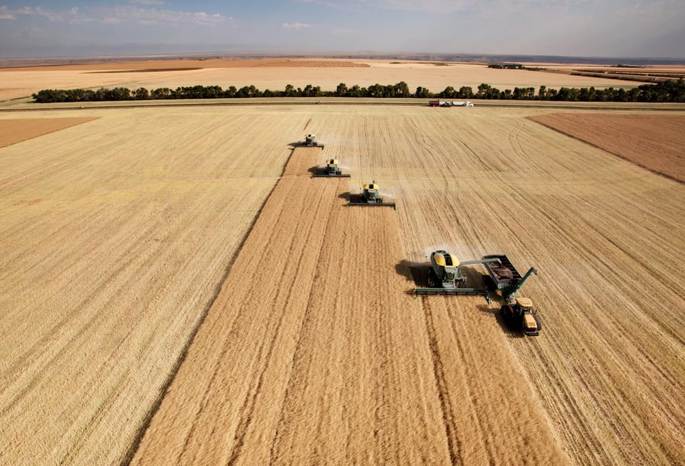 GrainGrowers responds to budget’s ag measures post image