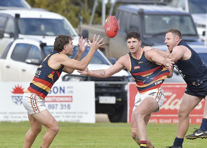 YPFL: Crows deny Cougars in ladder-shaping clash post image