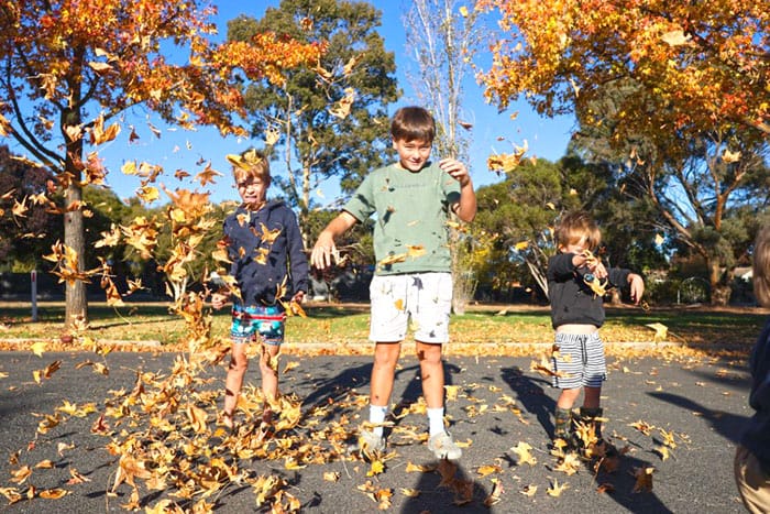 Weather changing with the leaves post image