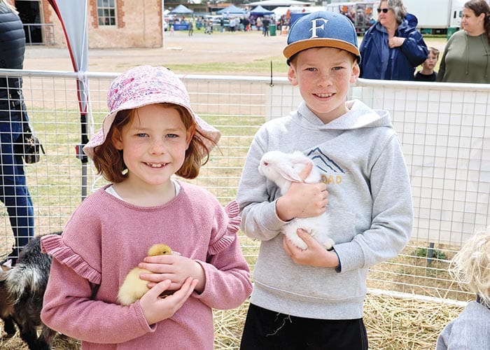 The show for everyone! post image