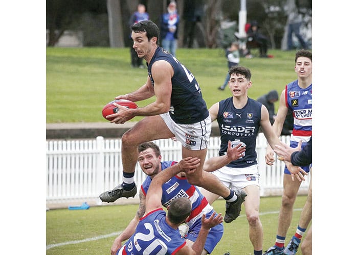 Summo — the epitome of resilience and persistence post image