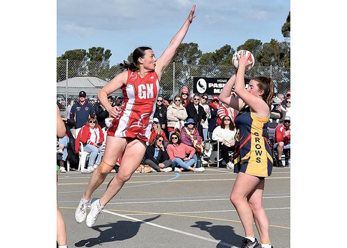 YPNA scores and reports post image