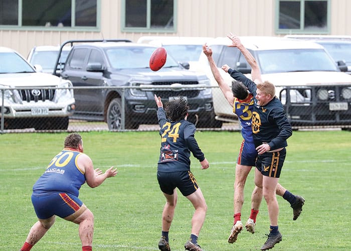 NAFA: Lions maul Eagles in soggy Booleroo post image