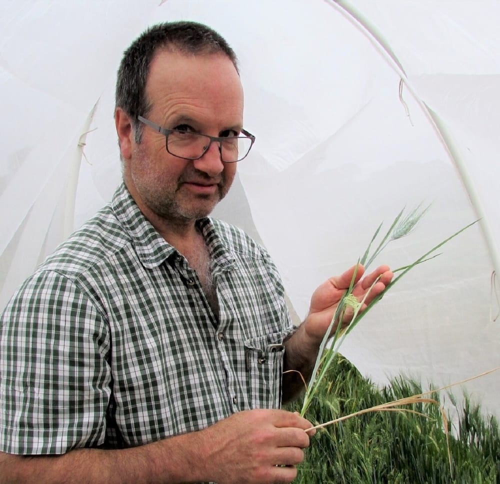 The latest in grains research knowledge at Crystal Brook post image