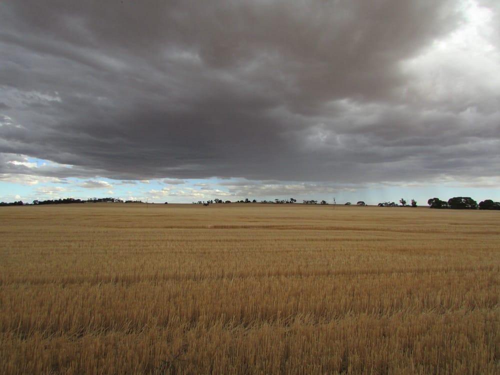 Improving the use of seasonal forecasting post image