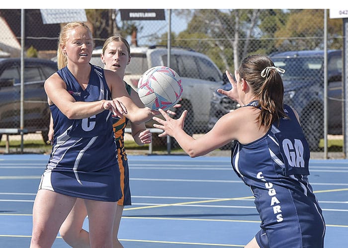 Netball: YPNA roundup - Top four roll on! post image