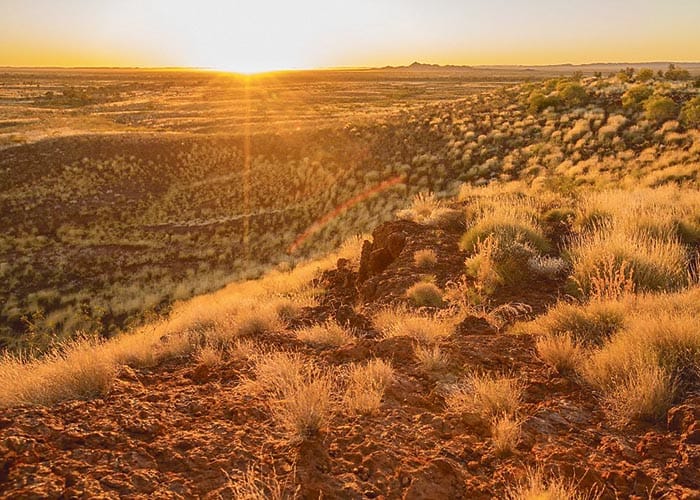 Dramatic changes needed to land management post image