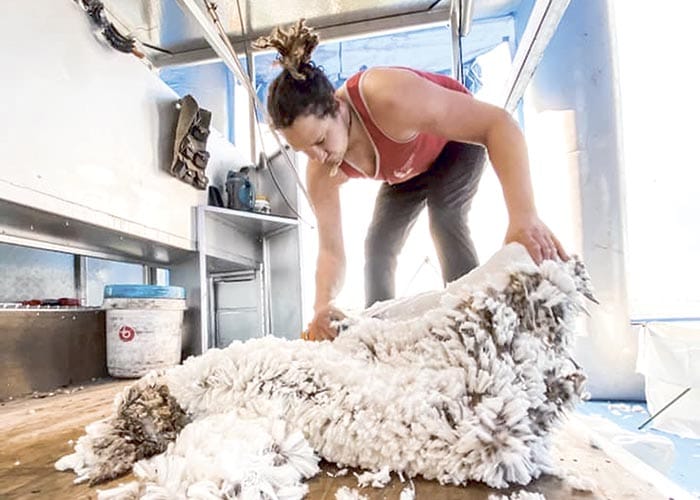 Picking up the shears for cancer research post image