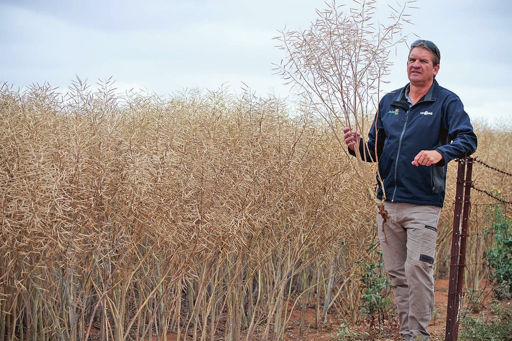 DECISION FINAL post image