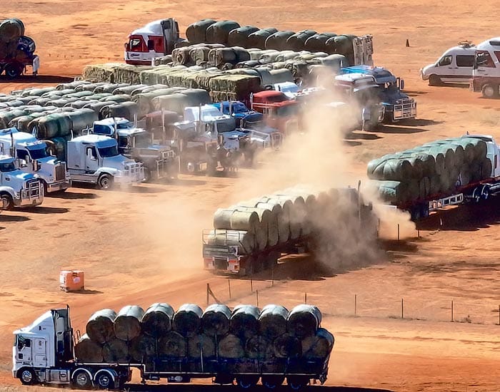 Hay delivered to state’s drought-affected farmers post image