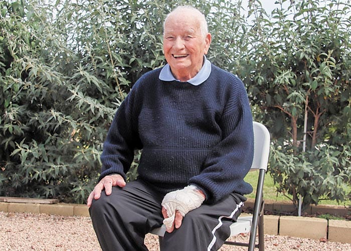 Kangaroo delivers a blow post image