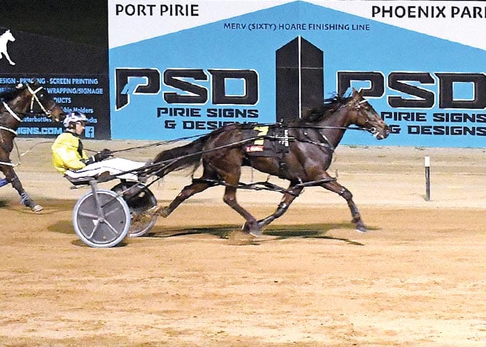 Port Pirie harness racing post image