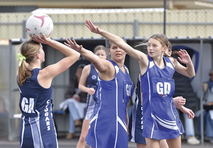 Netball: YP netball scores and reports post image