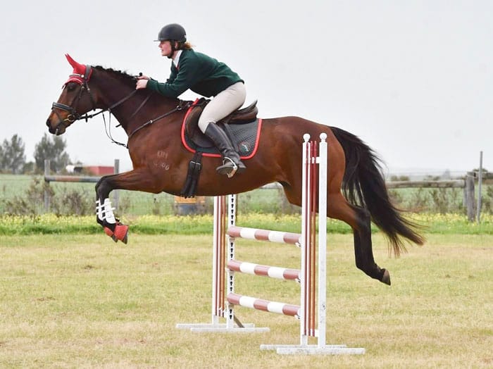 Thoroughbred Racing SA backs pony club safety post image