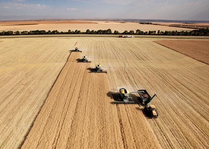 Spring rain vital for average harvest post image