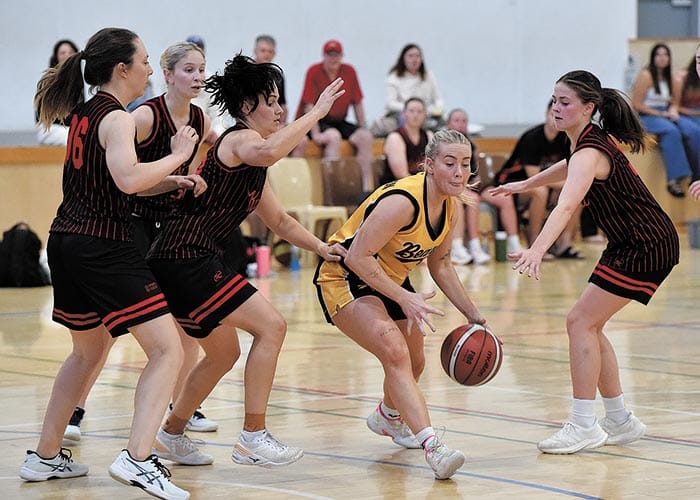 Yorke Valley basketball post image