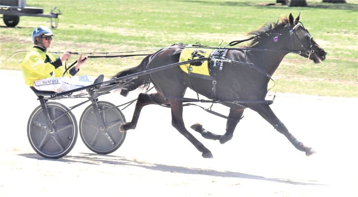 Coco Mia wins on debut post image