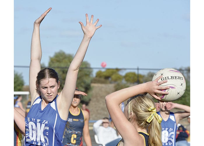 Netball: YPNA scores and reports post image