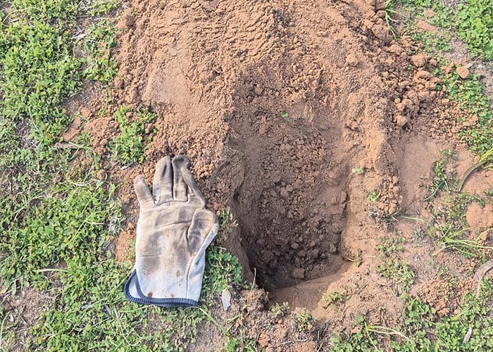 Golf course dug up post image