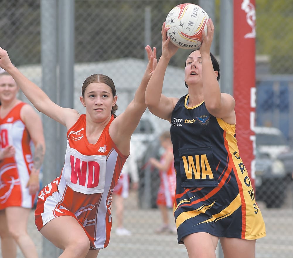 Yorke Peninsula netball scores and reports post image