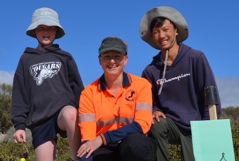 Council strategy coasting ahead post image