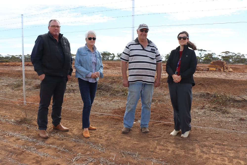 Bute to water down oval bills post image