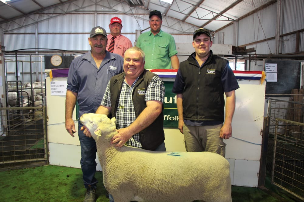 Anna Villa's 59th annual ram sale post image