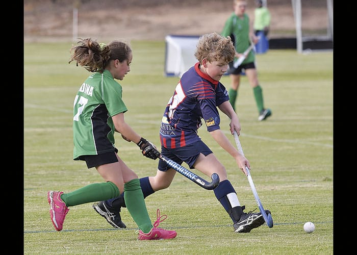 YP Hockey scores post image