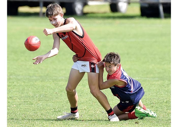 YPFL Senior Colts... Demons denied by Bloods post image
