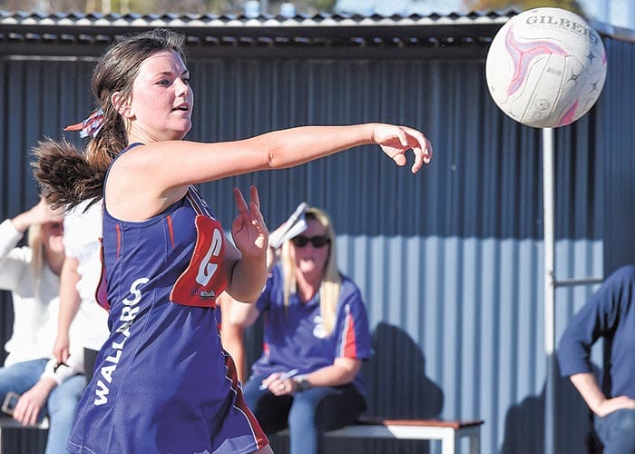 YPNA scores and reports post image