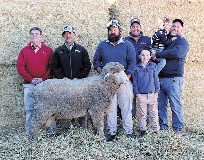 Ram sales picking up post image