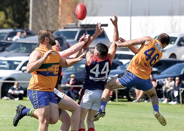 YPFL B grade... Eagles fly over desperate Dees post image
