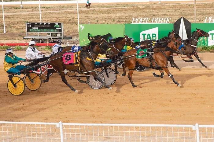 YP Harness Racing Club news post image